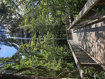 Herbsturlaub im Bayerischen Wald